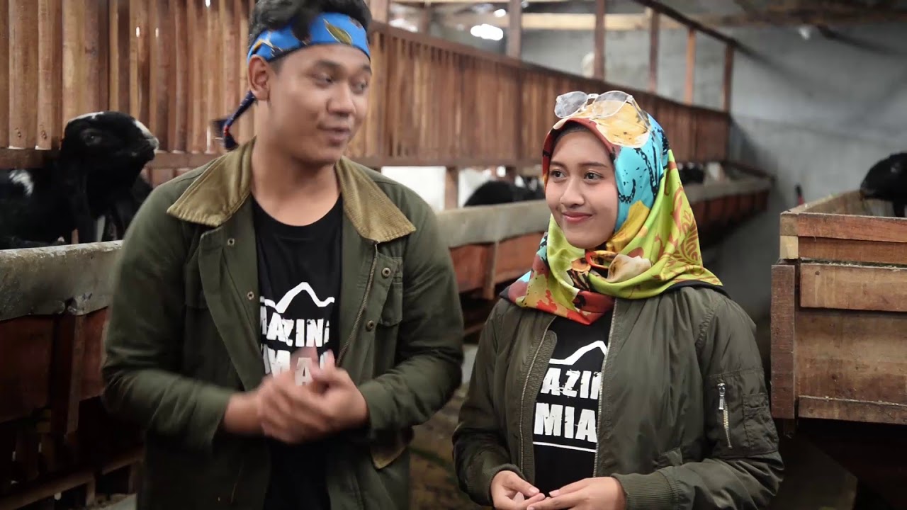 Amazing Kambing Etawa 