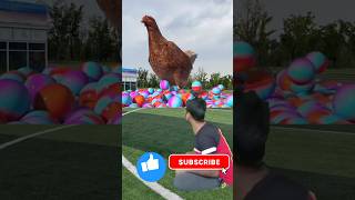 The Mascot Vibrato Assistant Placedonthe Football Field Is Popular Creative Newspe