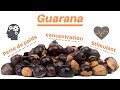 Guarana  bienfaits avantages et vigilance 