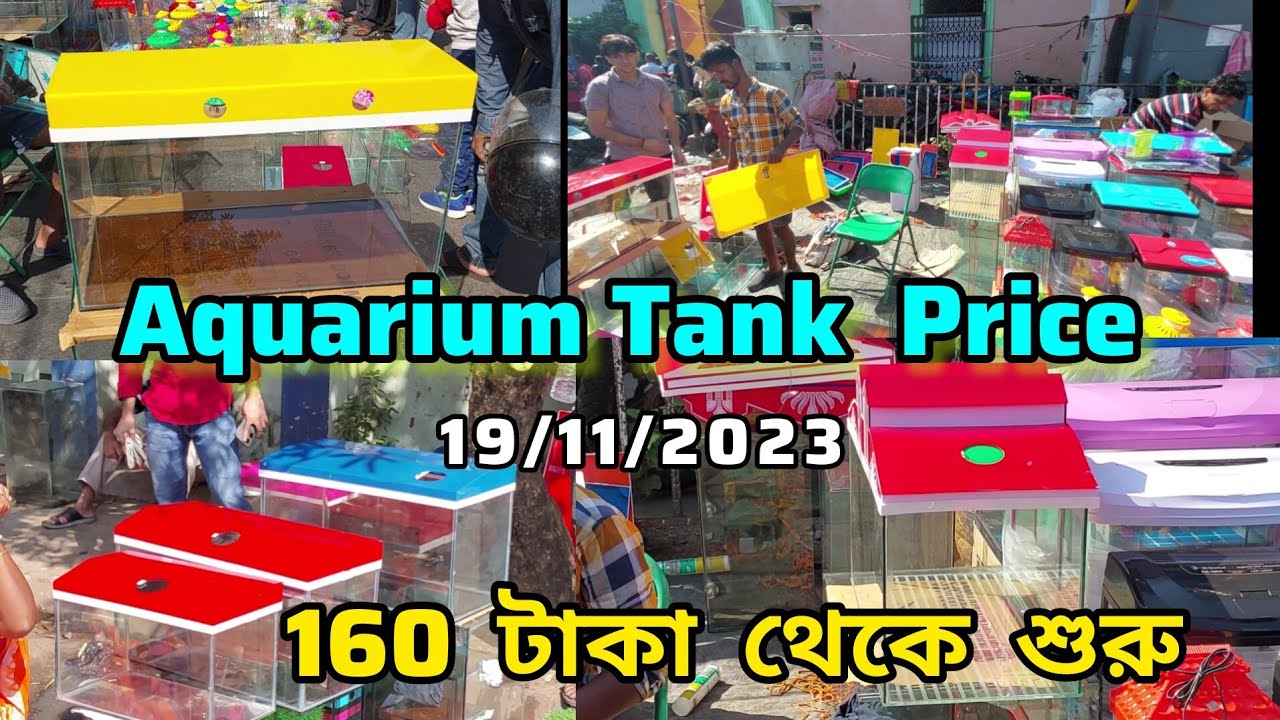 Recent Aquarium Tank Price Update Gallif Street Fish Market Kolkata