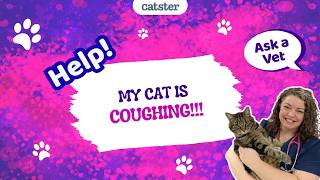 VET ANSWER: Help! My Cat Is Coughing!