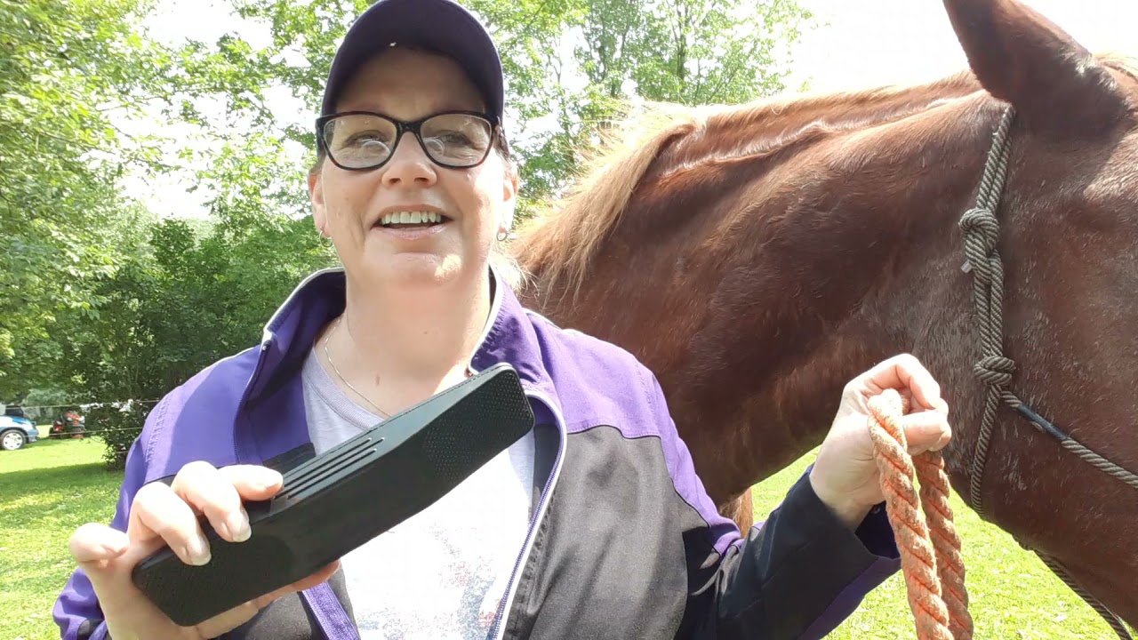 StripHair Review Melissa Proper