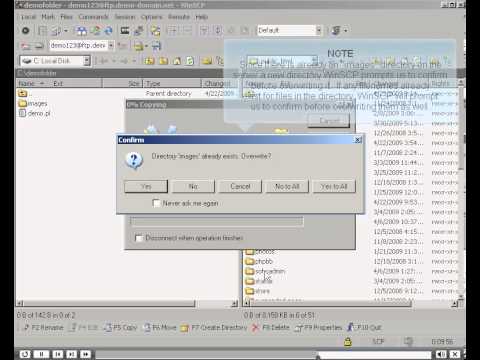 WinSCP Transferring files  3  WinSCP نقل الملفات بأستخدام برنامج وان اس سي بي في السرفرات