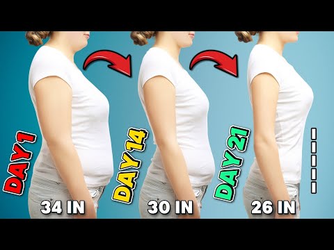 Fat Burning Abs Workout for Women | Beginner Friendly Cardio & At Home Routine to Torch Belly Fat