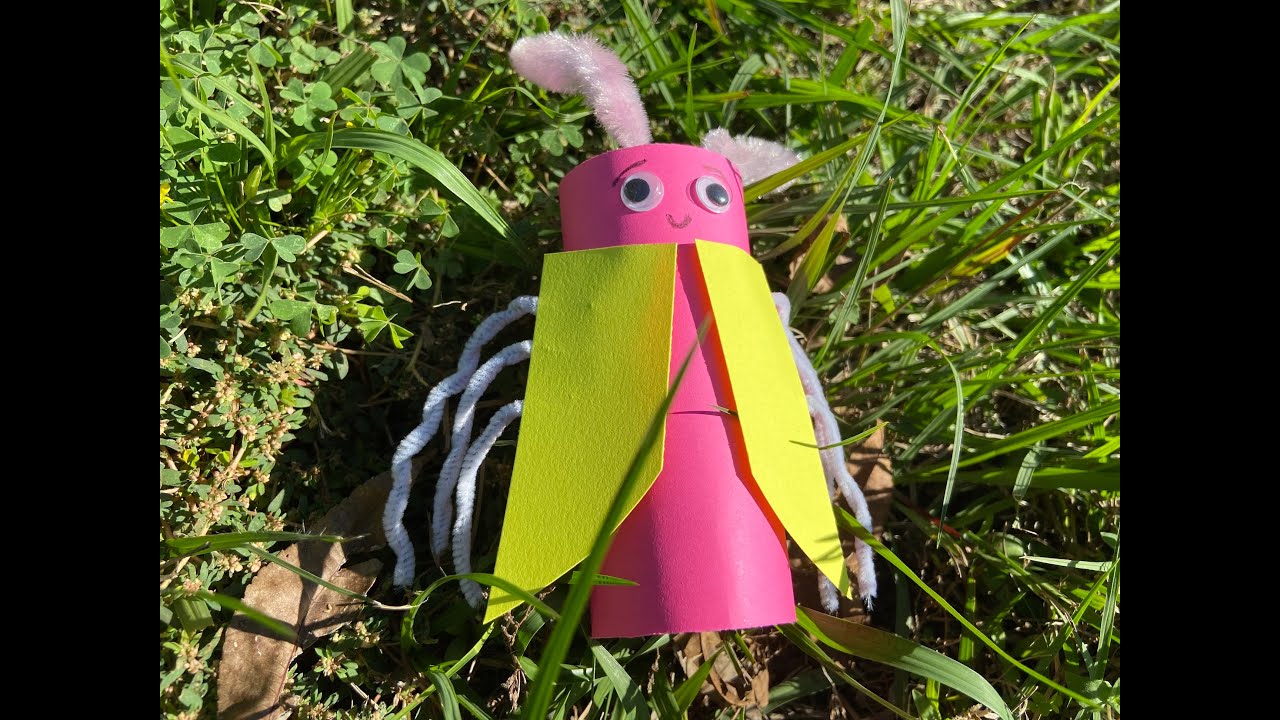 How To Make a Cute Bug With a Toilet Paper Roll! (August)