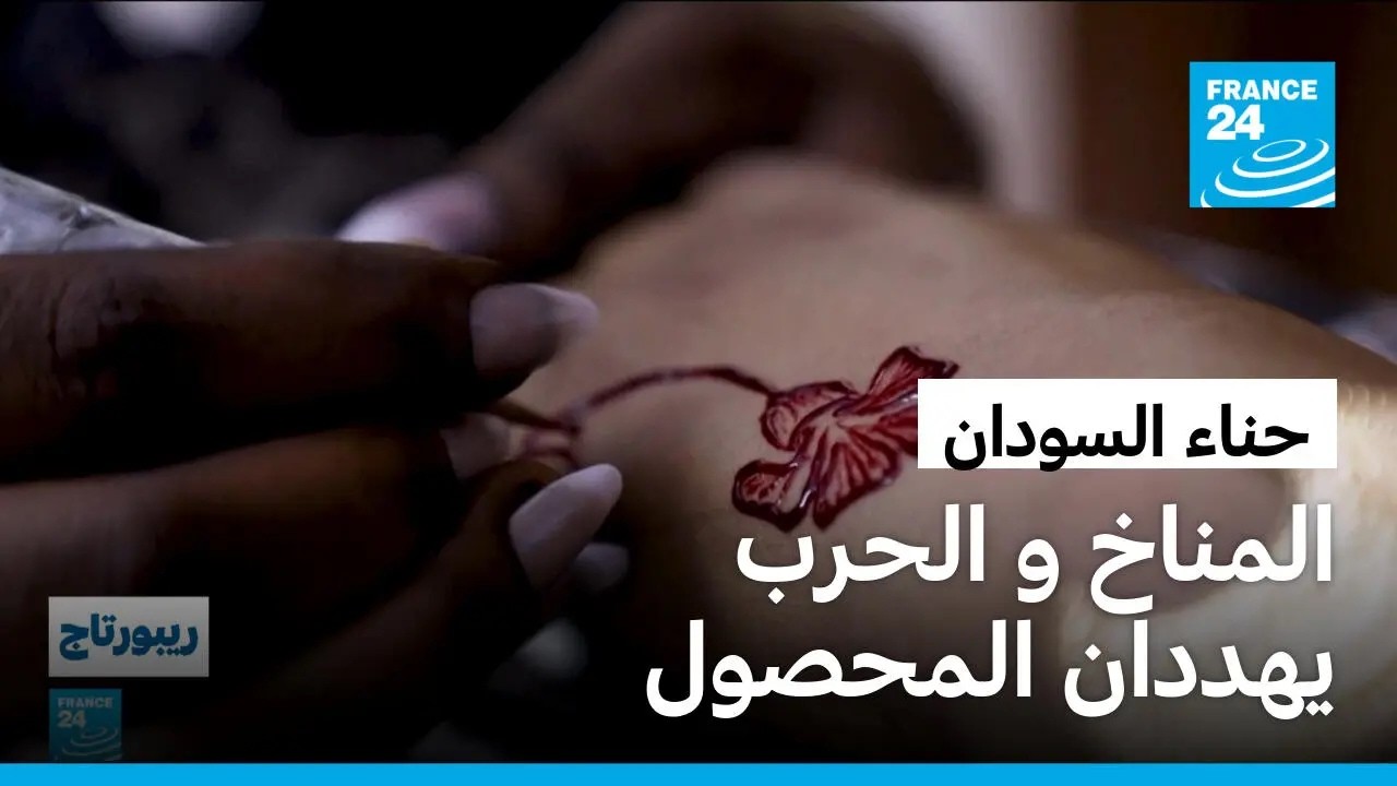 ����� ������ �� �������.. ��� ����� ������ ������� ����� ������ ������
 - نشر قبل 2 ساعة