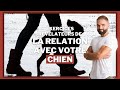 relation maitre / chien : un exercice révélateur !