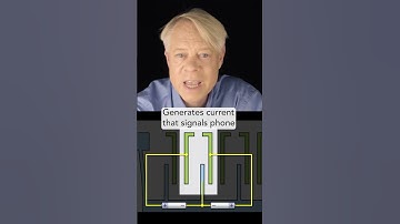 How a phone knows up from down #Shorts