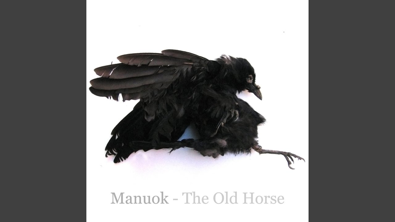 Untitled (Sigur Rós Cover)