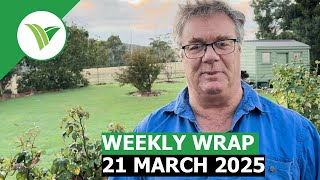 Weekly Wrap - 21 March 2024