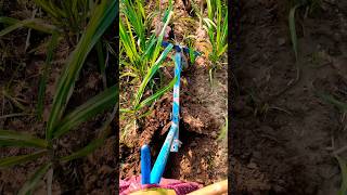 🧑‍🌾 #blogers #automobile #vbloger #farming #bloggs #smartphone #lifeisbutadream #vlog