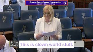 Senator Sharon Keogan - Full Rebuttal of Proposed 'Hate Speech' Bill