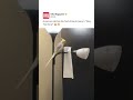 Woman Catches Bird Vibing to Jeezy