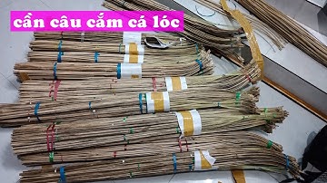 1400 CẦN CÂU CẮM CÁ LÓC giao anh em cần thủ gần xa 0786 493 437