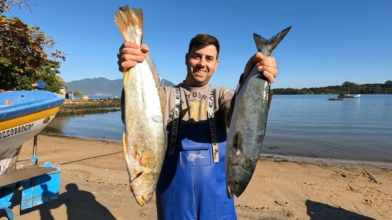 PESCADA AMARELA E ANCHOVA - Anchova Assada na Brasa do Modo Tradicional