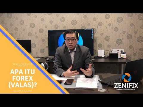 Video: Apa tanggung jawab makelar?