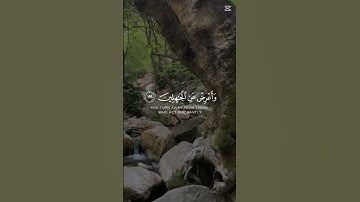 قرآن كريم #افغانستان #المغرب #السعودية #لايك #nature #اكسبلور #ماهر_المعيقلي#العراق#مصر #جزائر #ترند