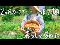 【30代田舎暮らし】2ヶ月かけて作った畑で、夏の暮らしが豊かになりました。#325