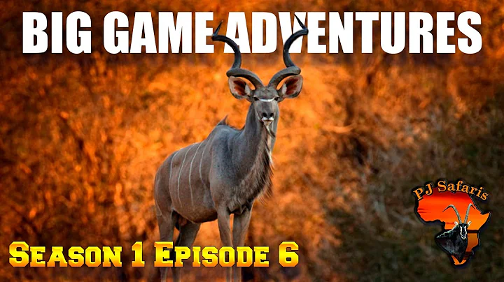 Limpopo Kudu hunt with extra plainsgame on safari in the Limpopo Valley - S1 EP6