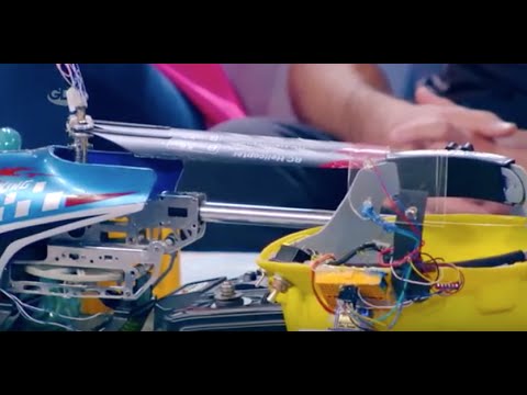 სახალისო სამეცნიერო პიკნიკი უფროსებს და ბავშვებს