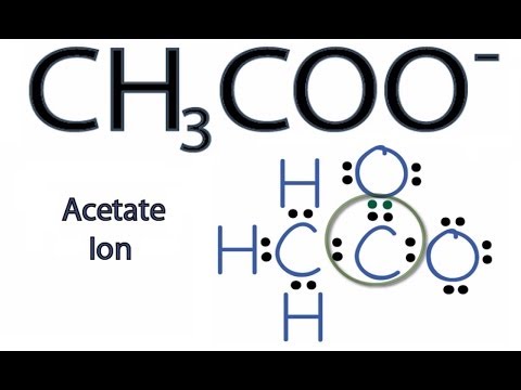 CH3COO- Lewis Structure: How to Draw the Lewis Structure for CH3COO-