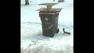 The cheapest, most effective squirrel repellent.