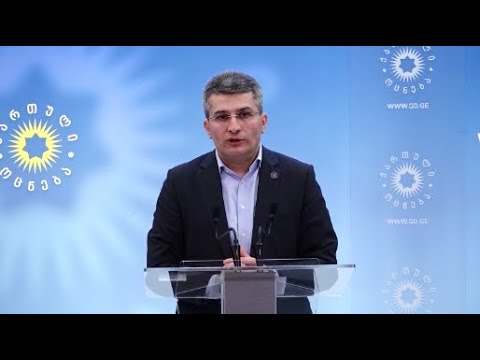 არახამიას რატომ სცალია, რომ ჩვენს კრიტიკას ვიდეორგოლები მიუძღვნას ამ საომარ ვითარებაში - მდინარაძე