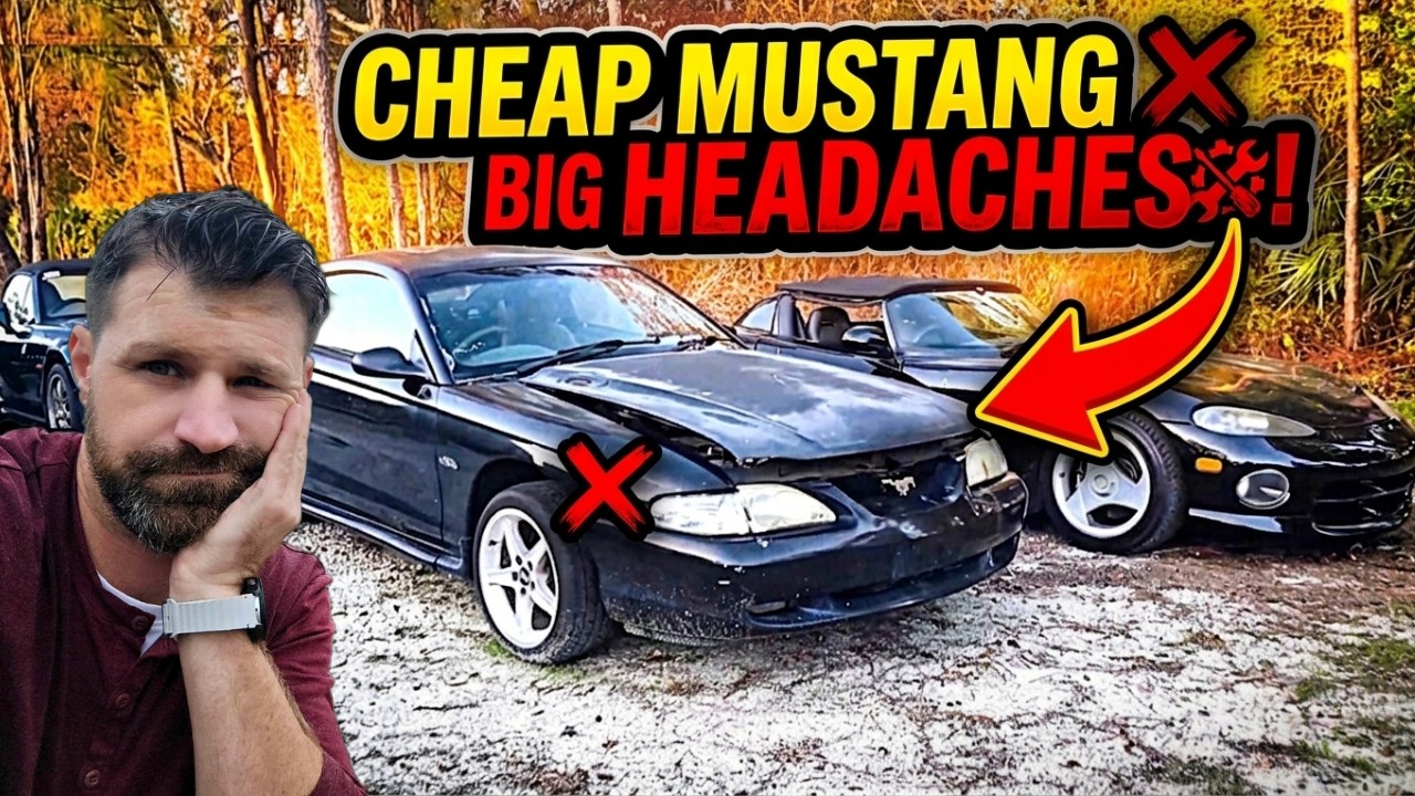Latest Title & Thumbnail
