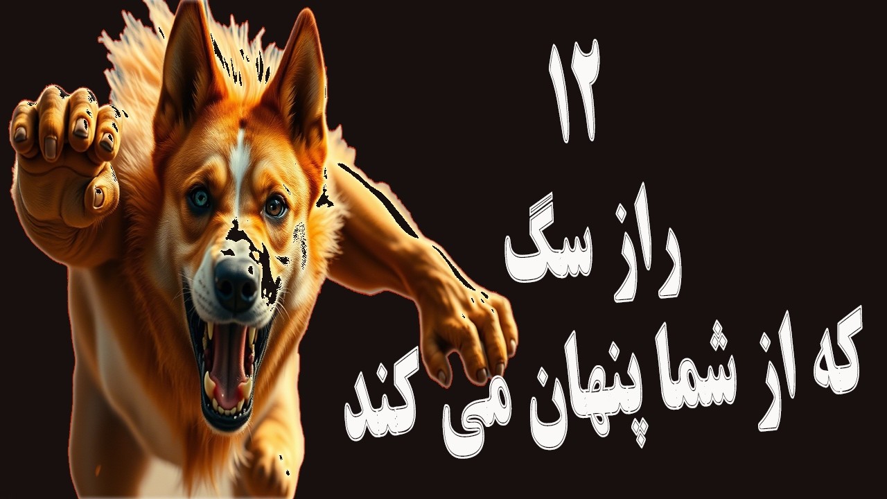 رازهایی که سگ‌تان از شما پنهان می‌کند، علم هم حیرت‌زده است