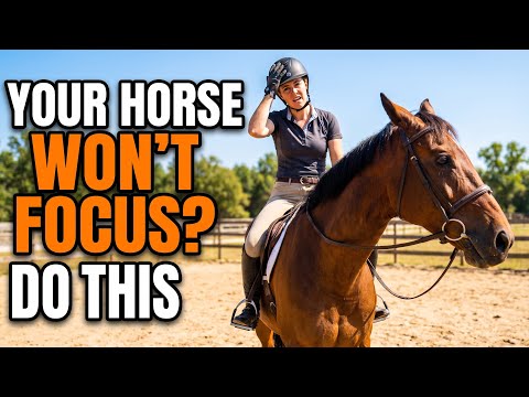 How To Get Your Horse's Attention