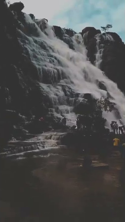 YE GORI NADIYO KA CHALNA UCHHAL KAR KE JAISE ALHAD CHALE AARI SHORT VIDEO STATUS