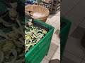 Коронавирус/ Италия/ Лигурия/ ситуация в супермаркете и на улице