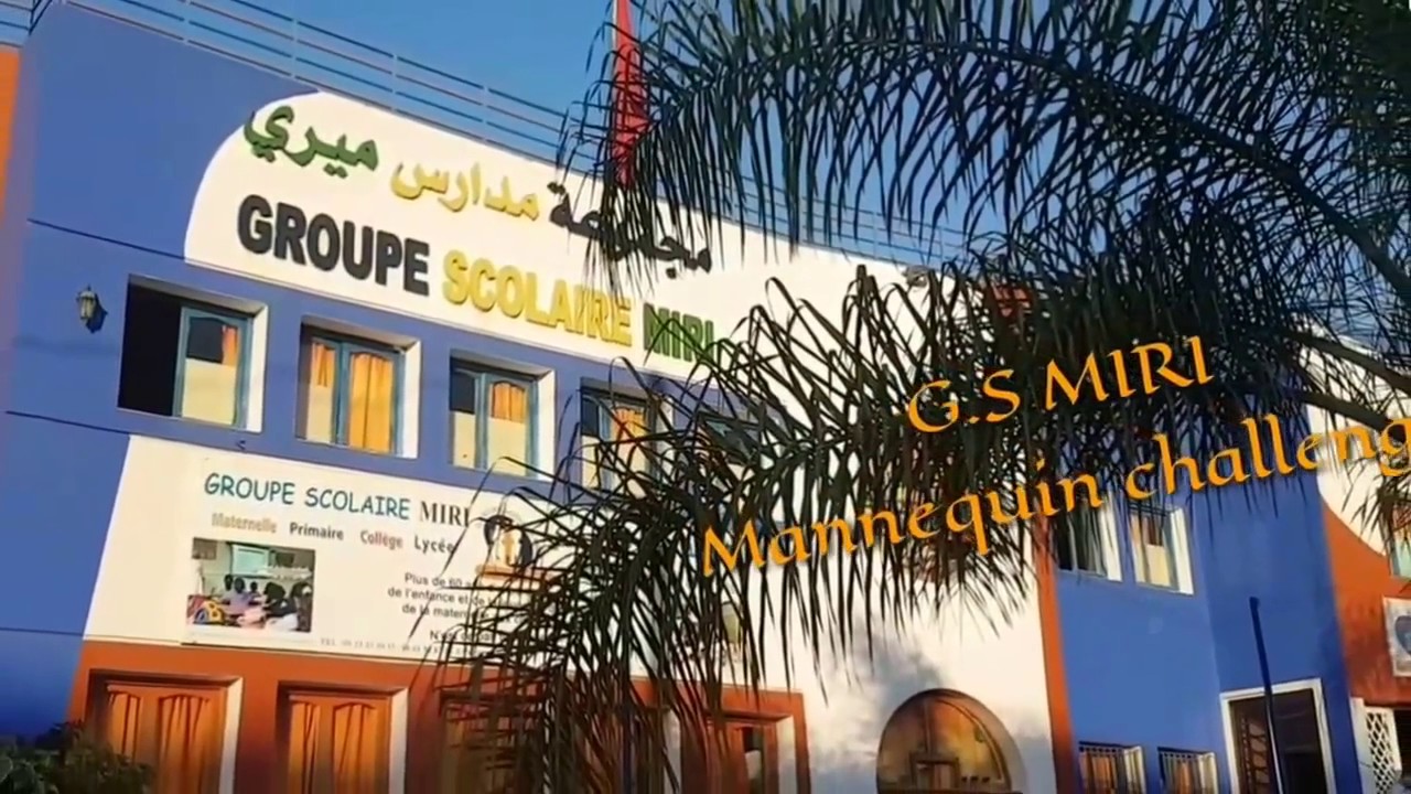 Mannequin challenge G.S.Miri