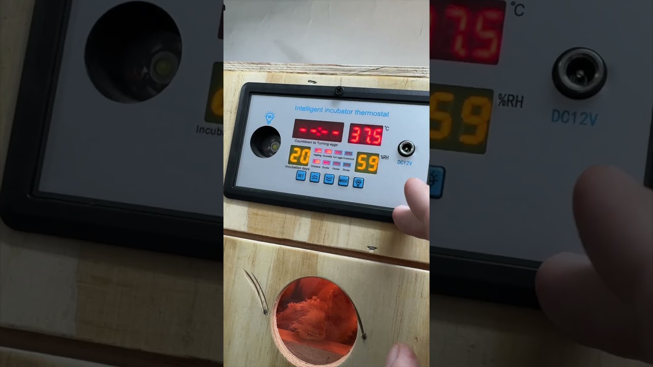 Incubator Controller