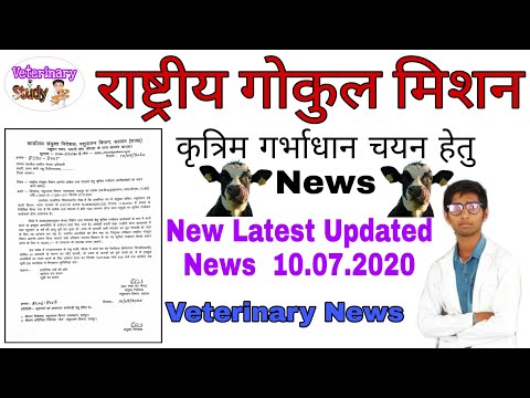 राष्ट्रीय गोकुल मिशन Latest News 10.7.2020, पशुपालन विभाग राजस्थान, Need A.I. Workers Rajasthan