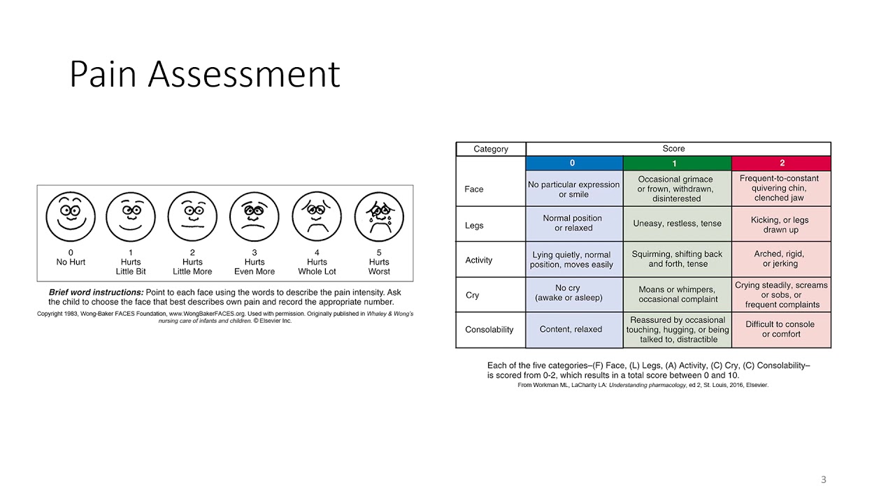 Video Ch 11 Pain Management YouTube