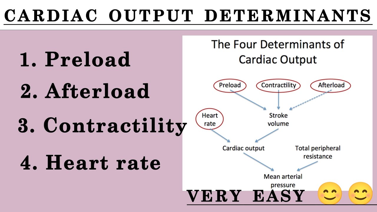 Cardiac Output determinants | Preload | Afterload | Contractility | Heart Rate |