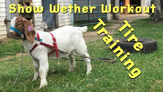 Wether Work Out-Tire Training-How to use a Tire to build Muscle