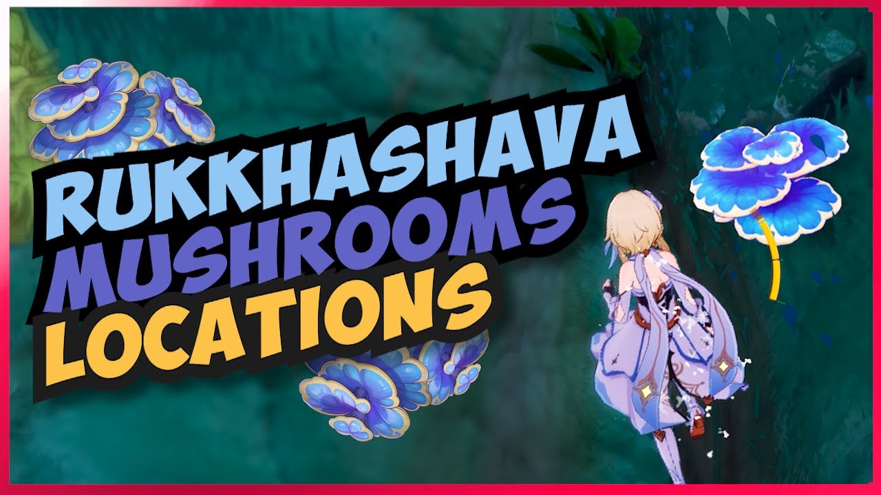 Rukkhashava Mushrooms Locations | All farming route | Fast and Efficient | Genshin Impact