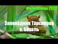 Филиппины 2020. Филиппинские Тарсиеры. Tarsier Conservation Area. Остров Бохоль