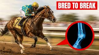 Why Modern Racehorses Are More Fragile Than Ever