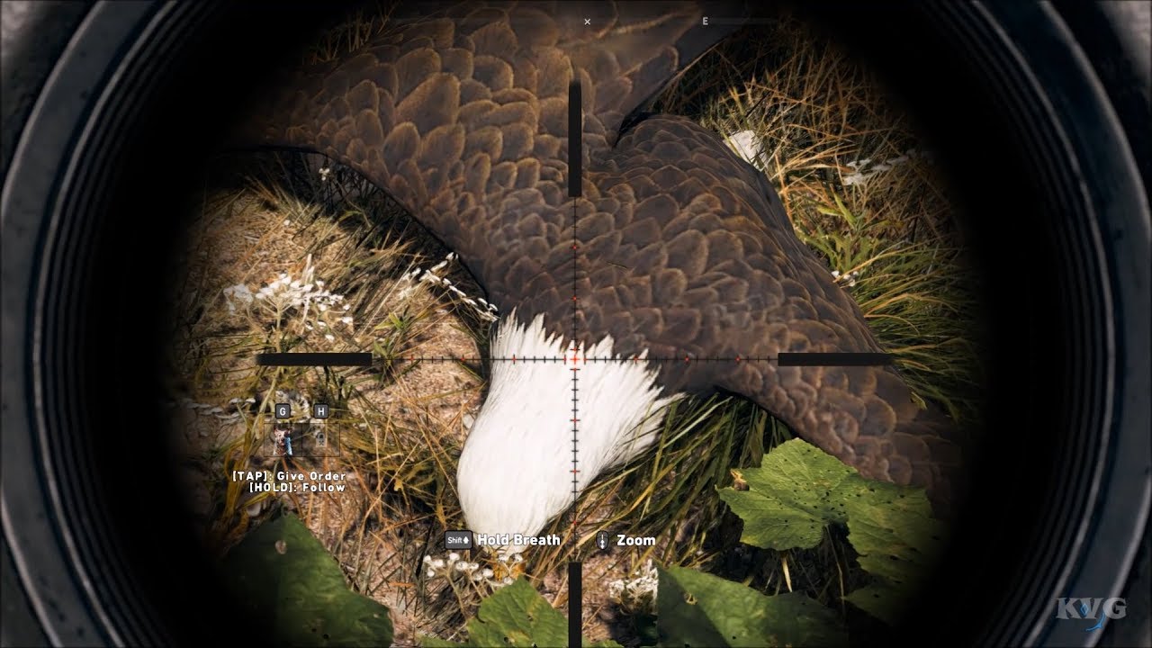 far cry 5 hunting eagles far cry 5 hunting eagles