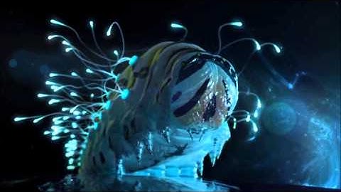 Branch Point - DEF3CT     [OFFICIAL MUSIC VIDEO]