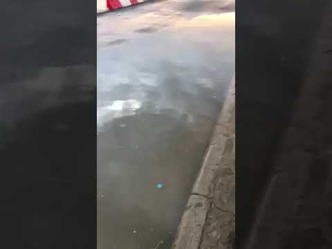 Άθλιες συνθήκες αναμονής στην υπηρεσία ασύλου 7-8-2020