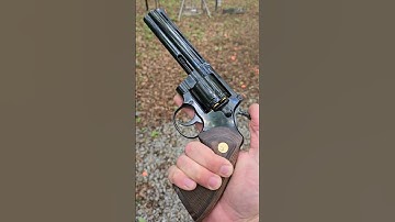 357 Magnum Colt Python 🐍