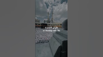 عبد الرحمن مسعد (كل نفس ذآئقة الموت)سورة العنكبوت راحة نفسية والطمأنينة #المصحف #راحة_نفسية #لايك