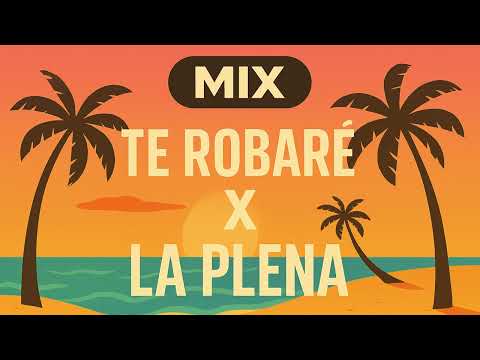 Te Robaré X La Plena (DJ ROMAN´S Mashup)