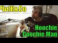 Чиж - Hoochie Coochie Man/кавер