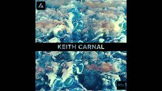 Keith Carnal | Artaphine Series 070