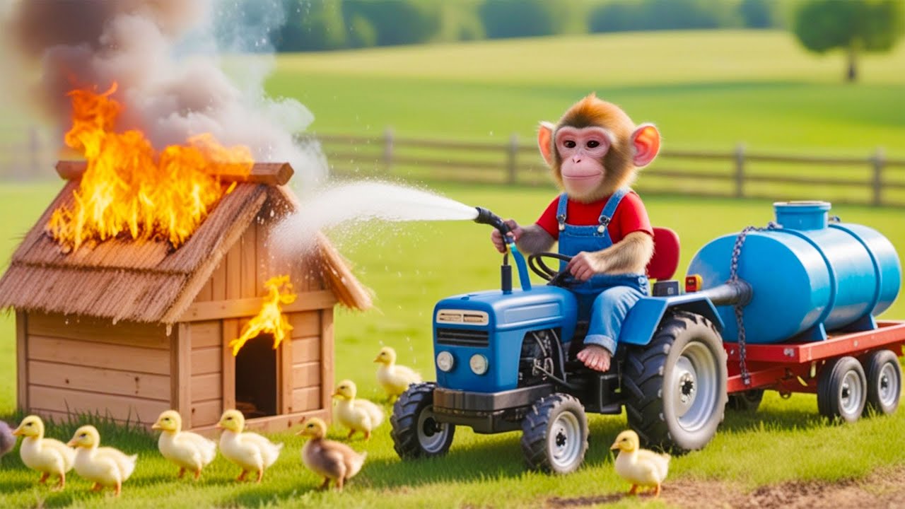 Monkey NaNa’s Donut Run Turns CHAOTIC — His Genius Solution SHOCKS All! 😱🍩